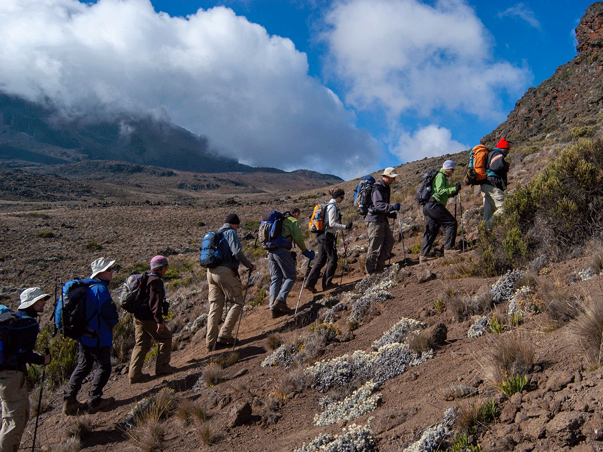 7-Days-Mount-Kilimanjaro-Hike-via-Machame-route